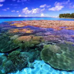 Keindahan Surga Di Bawah Laut Bunaken