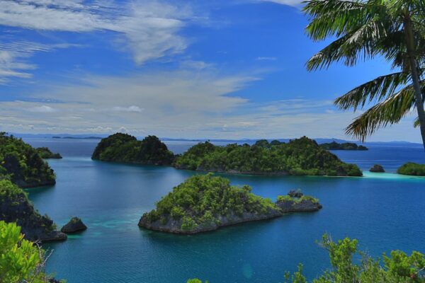 Raja Ampat: Surga Petualangan Dunia di Ujung Papua