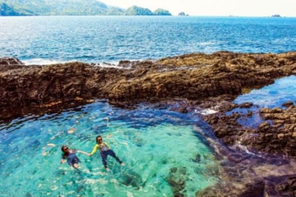 Hidden Gems Lampung: Menikmati Keindahan Alam Sambil Melihat Lumba-Lumba di Pantai Teluk Kiluan