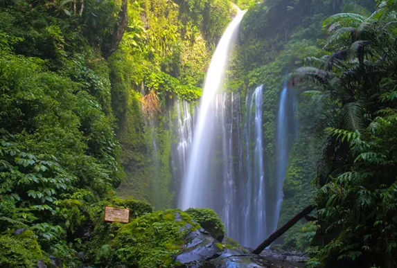 Air Terjun Tiu Kelep & Sendang Gila, Pesona Dua Kesegaran Alami