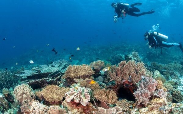 Pulau Hoga Kaledupa Wakatobi, Destinasi Wisata yang Menarik!