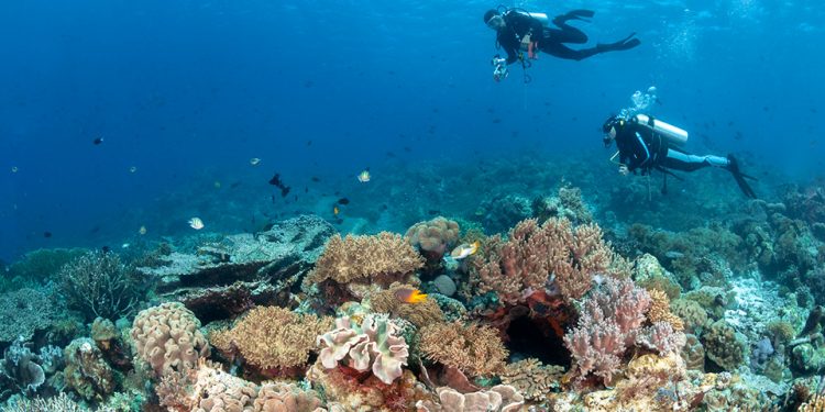 Pulau Hoga Kaledupa Wakatobi, Destinasi Wisata yang Menarik!