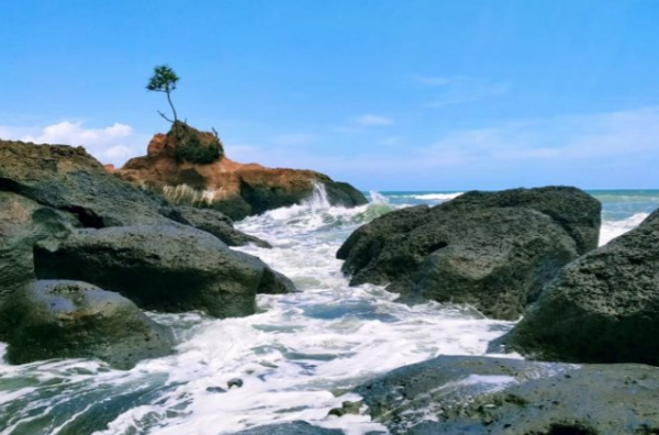 Menikmati eksotisme Pantai Padang Betuah Bengkulu Tengah