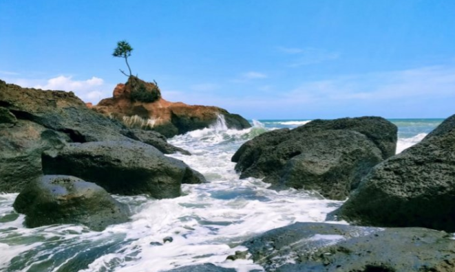 Menikmati eksotisme Pantai Padang Betuah Bengkulu Tengah