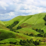 Bukit Teletubbies Labuan Bajo : Spot Menikmati Keindahan Alam