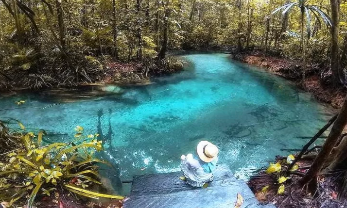 Intip Megahnya Wisata Alam Kali Biru Genyem Papua, Keindahan Surga di Tanah Cenderawasih