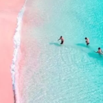 Pesona Pantai Pink di Bima Bikin Pengunjung Ogah Pulang