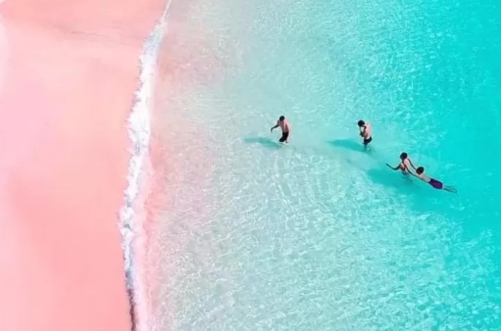 Pesona Pantai Pink di Bima Bikin Pengunjung Ogah Pulang