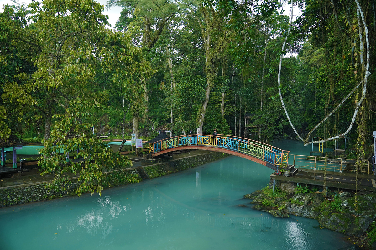 Hutan Sesaot Keindahan Alam Yang Indah Di Lombok