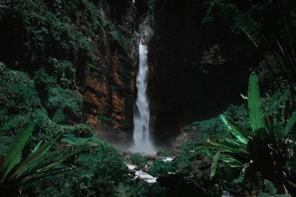 Pesona Air Terjun Randusari: Kejernihan Air dan Keindahan Alam Jogja