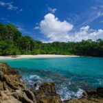 Pantai Teluk Hijau Banyuwangi, Surga Tersembunyi dengan Air Laut Berwarna Hijau 