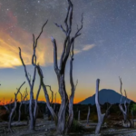 Keindahan Panorama Alam yang Menakjubkan Gunung Papandayan