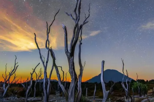 Keindahan Panorama Alam yang Menakjubkan Gunung Papandayan