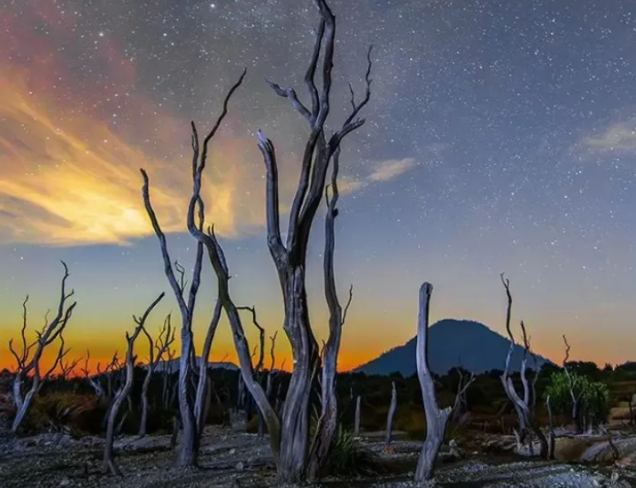 Keindahan Panorama Alam yang Menakjubkan Gunung Papandayan