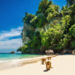 Mengungkap Keindahan Alam Dan Pesona Pantai Monyet di Labura, Sumatera Utara