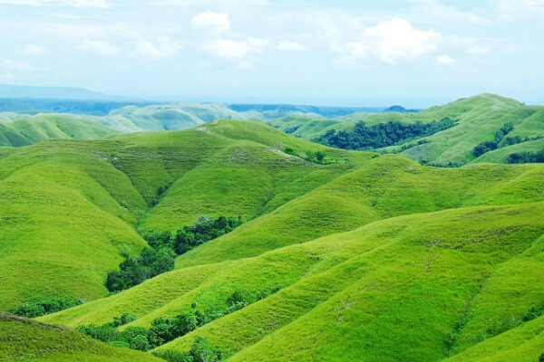 Keindahan Bukit Wairinding Sumba, Berbentuk Seperti Raksasa