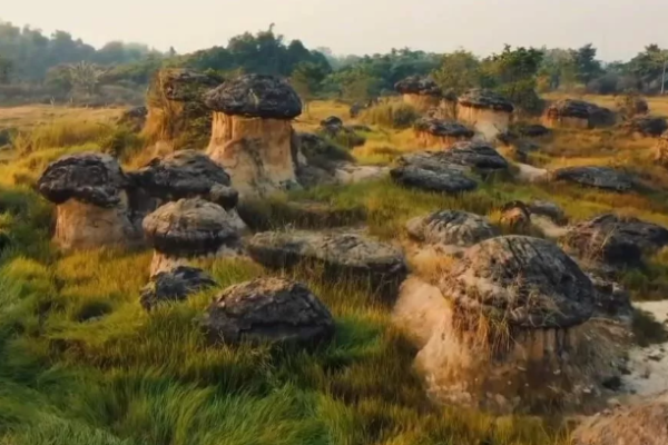 Pesona Bukit Jamur: Wisata Alam Tersembunyi yang Unik di Gresik