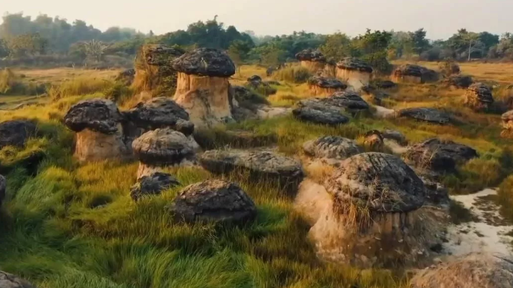 Pesona Bukit Jamur: Wisata Alam Tersembunyi yang Unik di Gresik