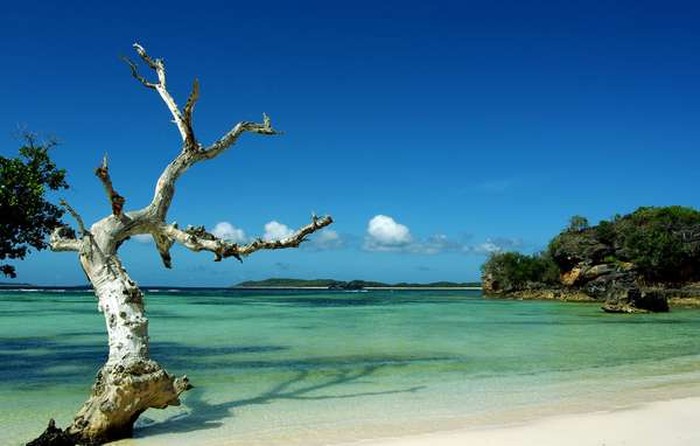 Pulau Ndao, Keindahan Ala Negeri Dongeng di NTT