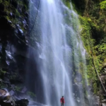 Air Terjun Soraya yang Menjadi Habitat Orang Utan dan Tempat Penelitian Ilmiah