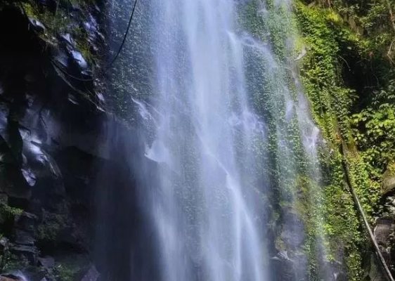 Air Terjun Soraya yang Menjadi Habitat Orang Utan dan Tempat Penelitian Ilmiah