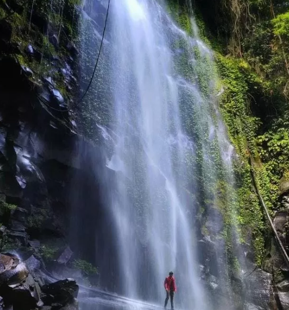 Air Terjun Soraya yang Menjadi Habitat Orang Utan dan Tempat Penelitian Ilmiah