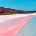 Pantai Pink Bima, Surga di Ujung Timur Pulau Sumbawa