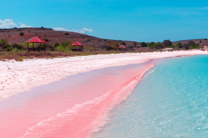 Pantai Pink Bima, Surga di Ujung Timur Pulau Sumbawa