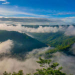 Pesona Kebun Buah Mangunan Wisata Indah di Yogyakarta