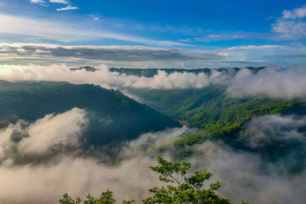 Pesona Kebun Buah Mangunan Wisata Indah di Yogyakarta